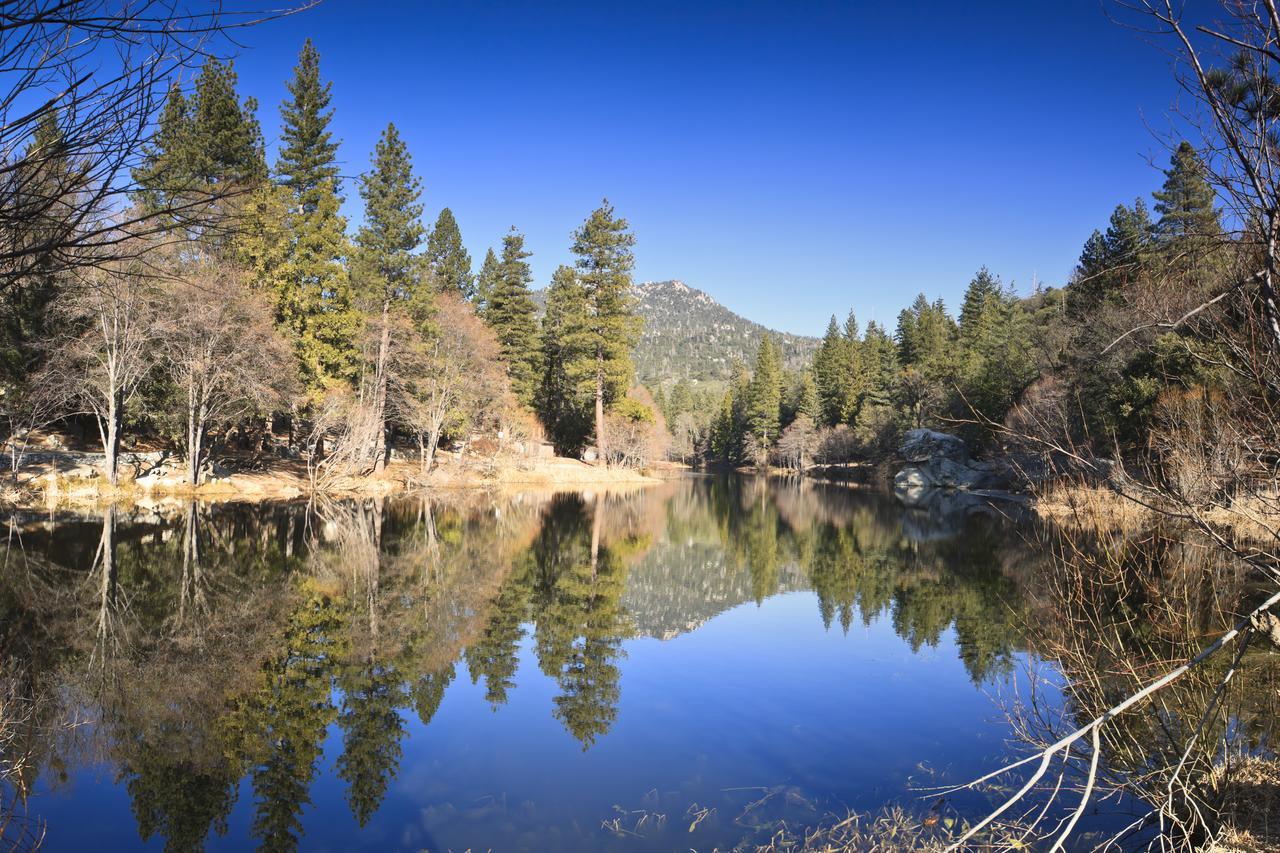 Idyllwild Bunkhouse Villa Bagian luar foto